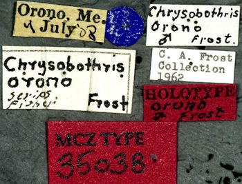Media type: image;   Entomology 35038 Aspect: labels